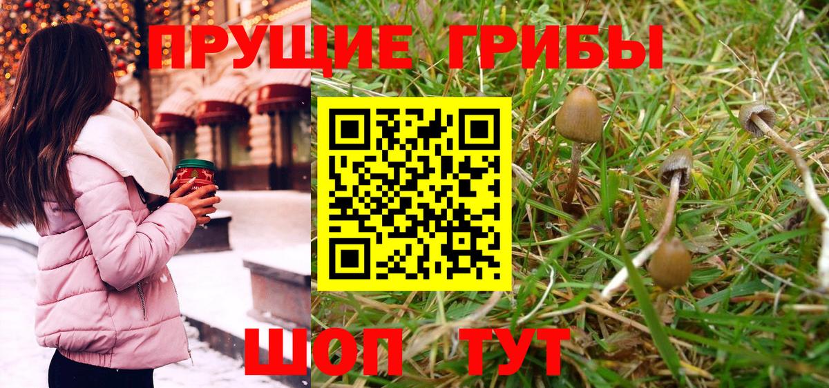 Галлюциногенные грибы Psilocybine cubensis Краснотурьинск