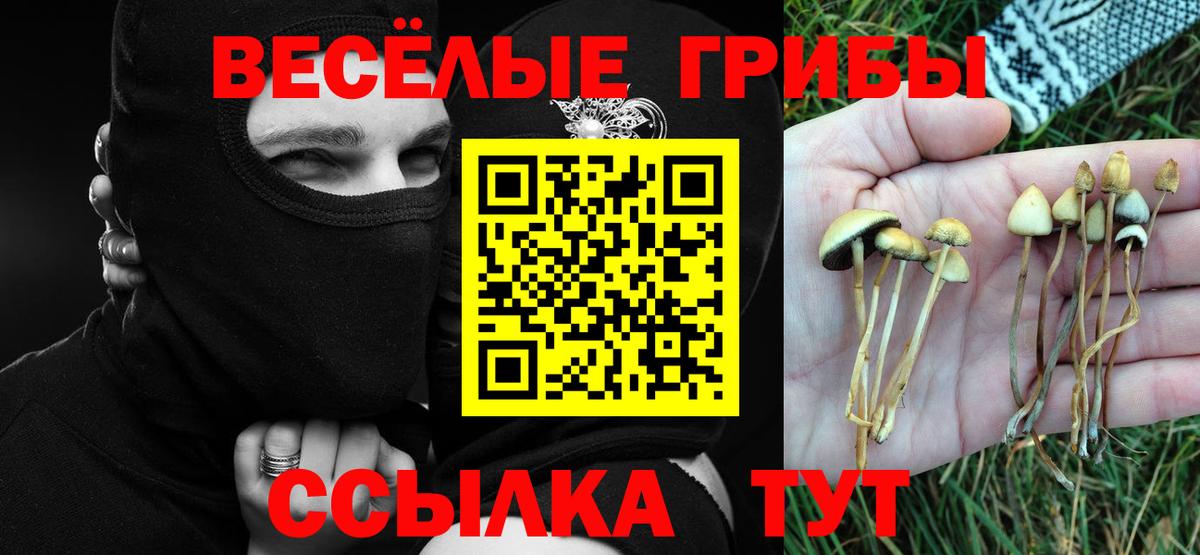 Галлюциногенные грибы мицелий  Вход с VPN  Краснотурьинск 